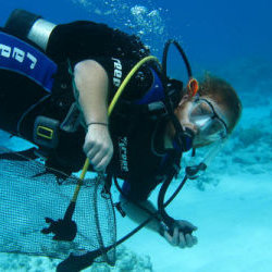 marine biologist mandela